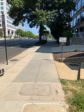 A picture of a sidewalk. To the left is the street and to the right, some landscaping in the foreground and a building in the background. Straight forward in the background is a tree, a bus shelter, and an intersection.